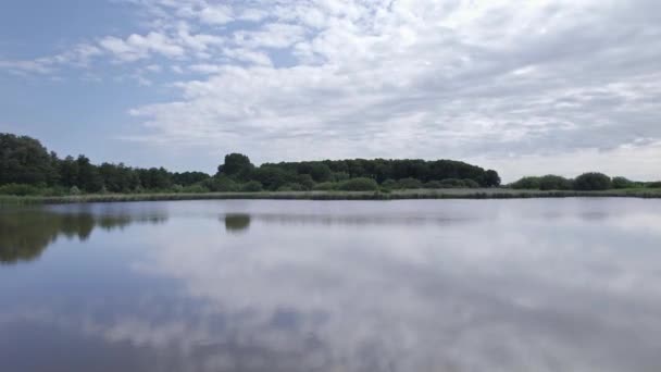 空中俯瞰一个渔塘 在公园的两个长椅之间 在地面和湖面上低空飞行 海滨有普通的芦苇和水生植物 周围环绕着树木 蓝天云反射 — 图库视频影像