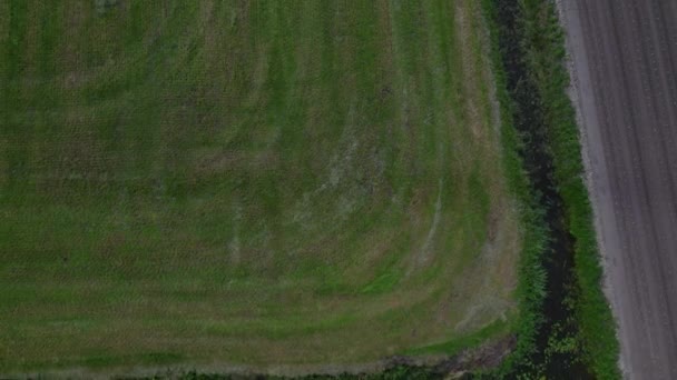 Drone Top Zicht Onthullend Schot Landbouwlandschap Uitzicht Een Sloot Met — Stockvideo
