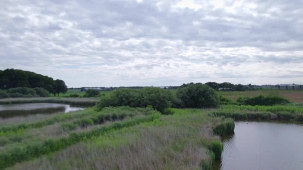 Dutch Nature Aerial View Drone Letí Nízko Nad Rybníkem Bažinatým — Stock video