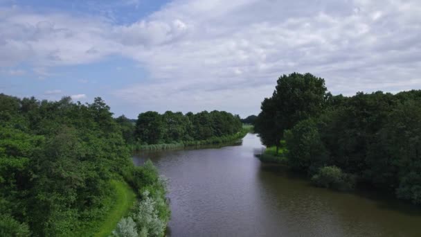 Vista Aérea Drones Vista Pájaro Sobre Los Árboles Copas Los — Vídeo de stock