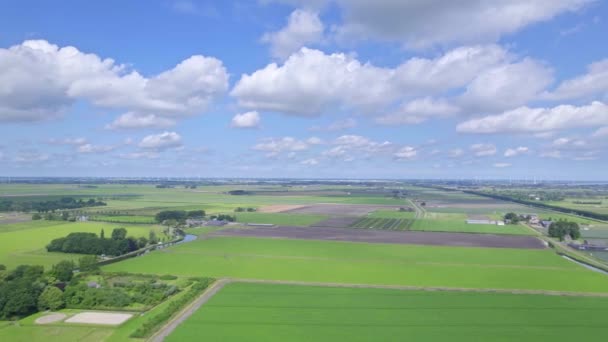 Hoge Hoek Panoramisch Uitzicht Landbouwgrond Landbouw Landschap Nederlandse Weilanden Akkers — Stockvideo
