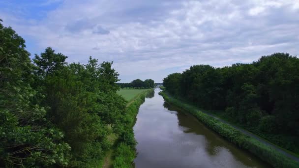 オランダの田舎の運河を見下ろす鳥の目 落葉樹の木々の間を低く飛んでいます 緑の牧草地と水路に沿って自転車道 青い空と雲の上の新鮮な一般的な葦 — ストック動画