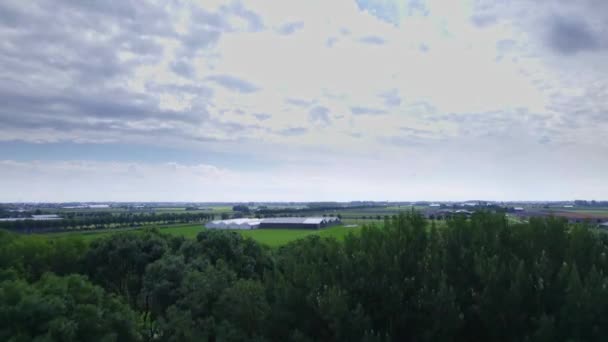 Drohnenblick Geradeaus Über Den Baumwipfeln Blick Über Die Wiesen Mit — Stockvideo