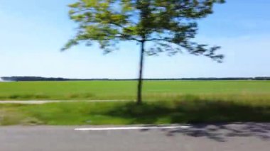 Hareket halindeki bir arabanın yan camı. Trafik ışıkları yanıp sönüyor. Çayırlar boyunca asfalt bir yolda, tarımsal sulama sistemi olan yeşil alanlarda seyahat edin. Ormanlar ve açık mavi gökyüzü. Hollanda 'da 4K' da kırsal alan.