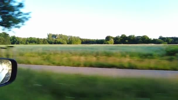 田舎の動く車からの助手席側の窓の眺め 農業景観草原の森の景色 運転状態の道路旅行や旅行の概念は 太陽の鏡の中に反映 — ストック動画