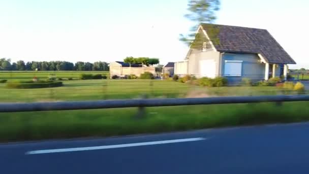 Вид Збоку Від Автомобіля Рухається Зелені Луки Коров Ячою Фермою — стокове відео