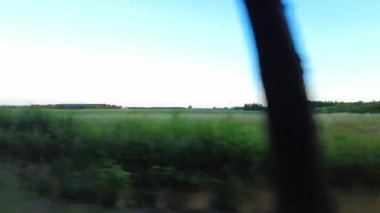 Hareket halindeki arabanın yan camı. Orman boyunca kırsal bir yolda seyahat, çayırlar, yeşil tarlalar ve patates bitkileri ve tarımsal sulama sistemi ile ekilebilir. Hollanda 'da 4K' da kırsal alan. Mavi gökyüzü arkaplanı ile.