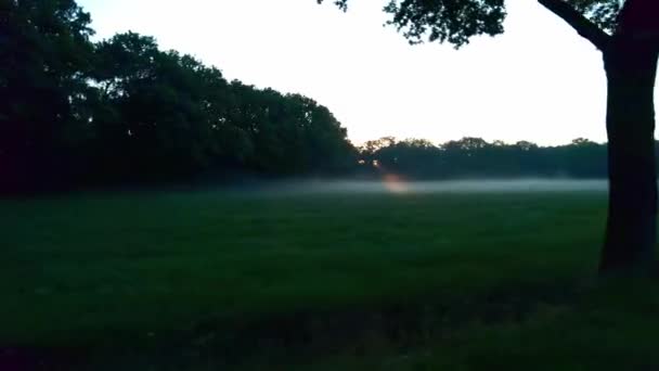 Side View Driving Early Morning Meadow Morning Dew Hanging Green — Stockvideo