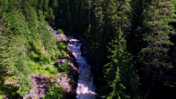 View Rapids Wilderness Sweden Platform People Enjoying Nordic Nature River — Stok video