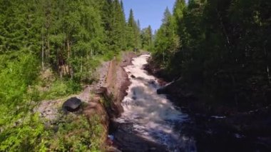 İsveç çöllerinde hızlı akan akıntıların alçak açılı görüntüsü, şelale boyunca uzanan bir duvarın kalıntıları, kayalar, çam ağaçları ve yazın açık mavi gökyüzü olan huş ağaçları. Düşük Hava Görünümü 