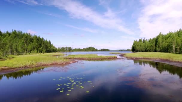 Laag Uitzicht Het Blauwe Water Wildernis Van Zweden Dennenbossen Moerasgrasland — Stockvideo
