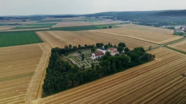 墓地のある18世紀の教会の空中撮影では トラクターが黄色の収穫穀物の茎を収穫し ハラバック南部のスウェーデンの丸い干し草の俵に加工する木の牧草地に囲まれています — ストック動画