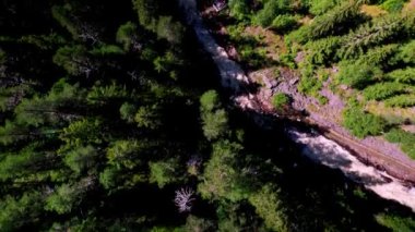 Havadan görünüşlü. Hızlı bir dağ nehrinin tepesinde kayalar ve yüksek çam ormanları olan akıntılar. İsveç, Ambjorby 'de bir gözetleme noktasında, doğanın ortasında aktif bir yürüyüşün keyfini çıkaran bir ailenin genel görünümü.