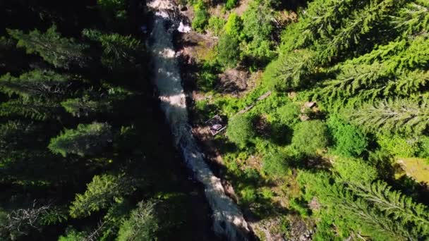 Vista Arriba Hacia Abajo Sobre Bosque Río Montaña Rápida Dron — Vídeo de stock