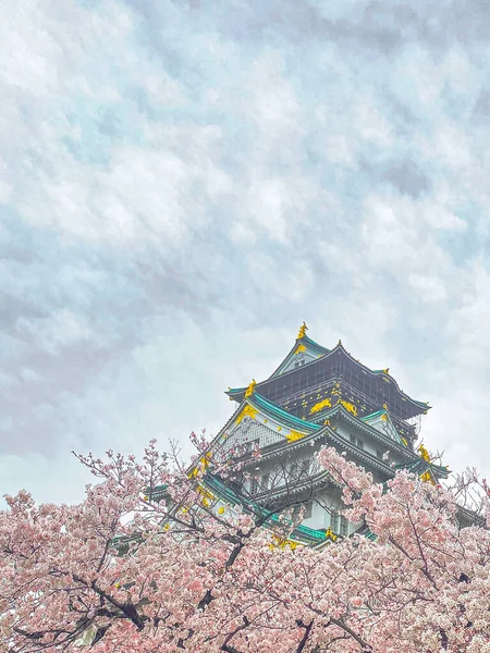 Sakura Blossom Osaka Castle Spring Time — Zdjęcie stockowe