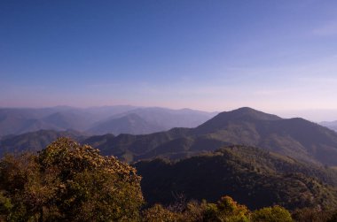 Orman ve dağ arka planlarında gökyüzünden gelen yumuşak ışık ve Tayland 'ın Chiang Mai kışında gün ışığı manzarası..