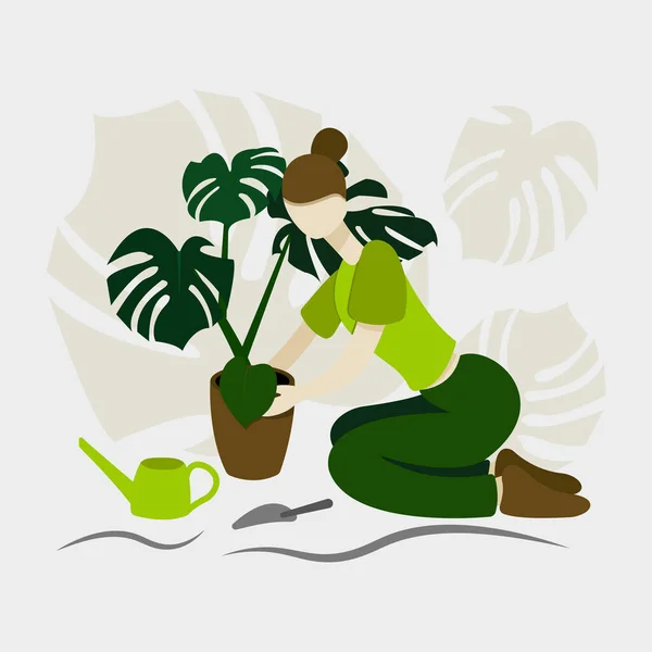 Young woman girl planting a flower Monstera in flat style Illustration
