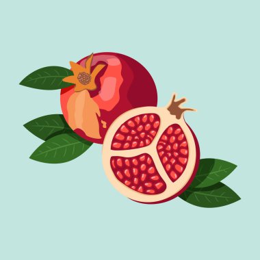 Yeşil yapraklı kırmızı nar ve birbirine yakın duran nar ağacının yarısı. Düz Biçim İllüstrasyonu.