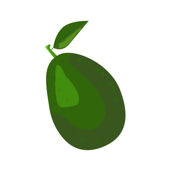 Whole Green Avocado Leaf — Vector de stock