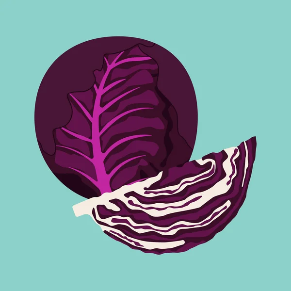 Head Purple Cabbage Quarter Purple Cabbage — 스톡 벡터