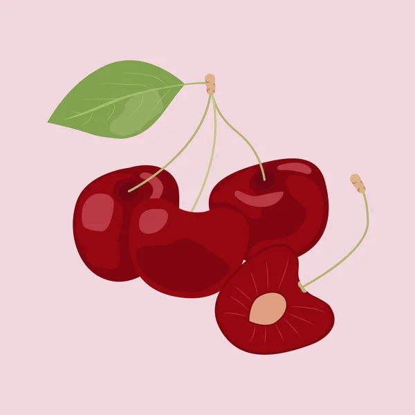 Tres Cerezas Rojas Jugosas Con Hoja Aislada — Vector de stock