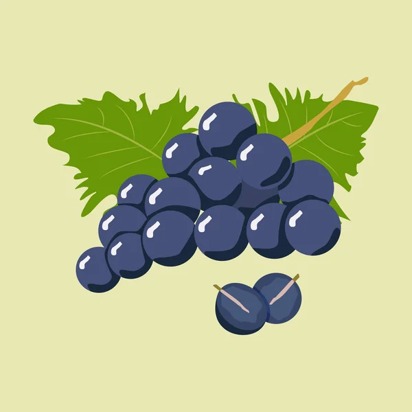 Branch of dark blue grapes with green leafs on the background. One grape berry is sliced.
