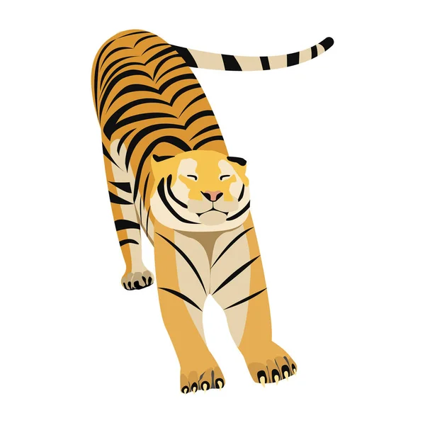 Tiger Waking Sleep — Vector de stock