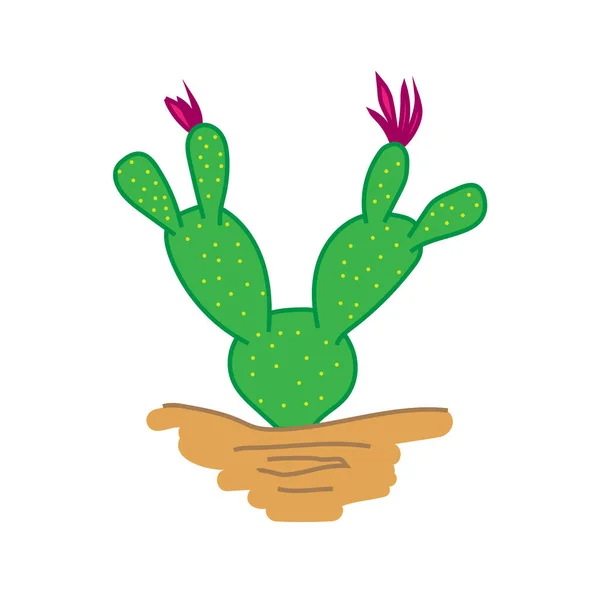 Hand Drawn Cactus in Desert