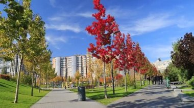 Resimli sarı-portakal ağaçları ve yapraklarıyla güzel bir sonbahar parkı. Dnipro, Dnepropetrovsk, Ukrayna 'da sonbahar caddeleri.