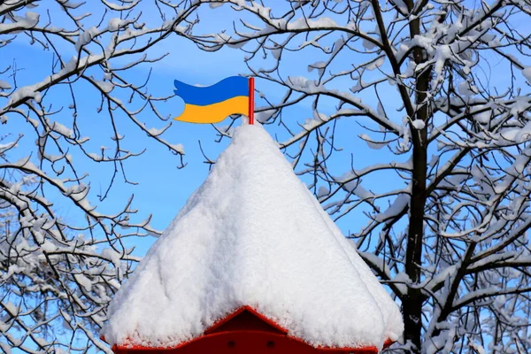 Zima Ukrainie Ukraińska Flaga Stoi Wieży Pokrytej Śniegiem Ulicy Piękny — Zdjęcie stockowe