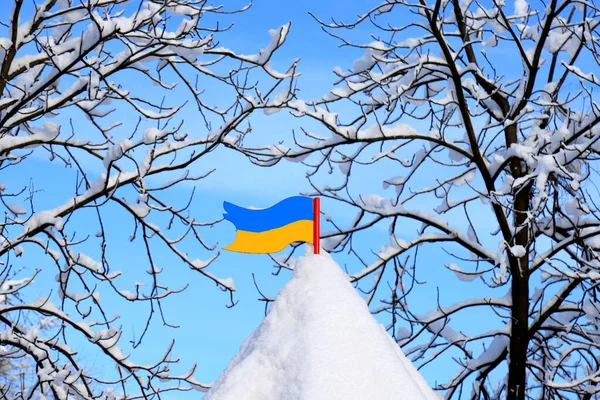 Inverno Ucrânia Uma Bandeira Ucraniana Está Uma Torre Coberta Neve — Fotografia de Stock