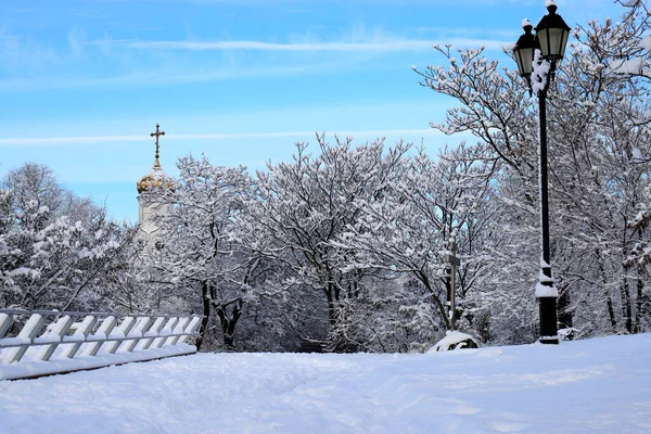 Christmas Winter Street Background Lantern Picturesque Winter Park Landscape Covered — Photo