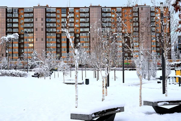 Winter Street Park High Rise Building Skyscraper Winter City Snow — Photo