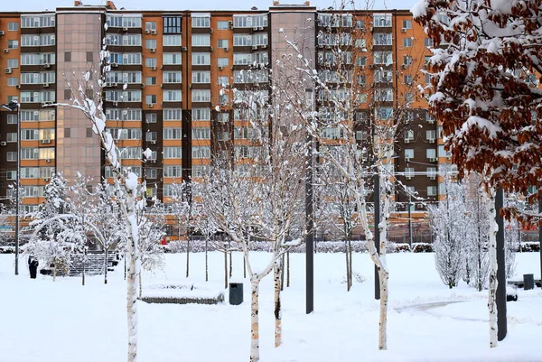 Winter Street Park High Rise Building Skyscraper Winter City Snow — Photo