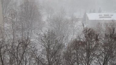 Şiddetli bir kar fırtınası, şehirdeki ağaçları ve binaları silip süpüren bir kar fırtınası, hava manzarası. Kış karlı manzarası, Dnipro 'da kar yağışı, Dnepropetrovsk, Ukrayna kışın.