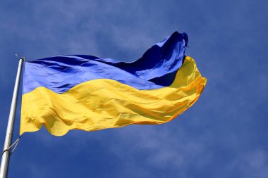 Mavi gökyüzünde dalgalanan Ukrayna bayrağı. Büyük sarı Ukrayna ulusal bayrağı, Kyiv Ukrayna