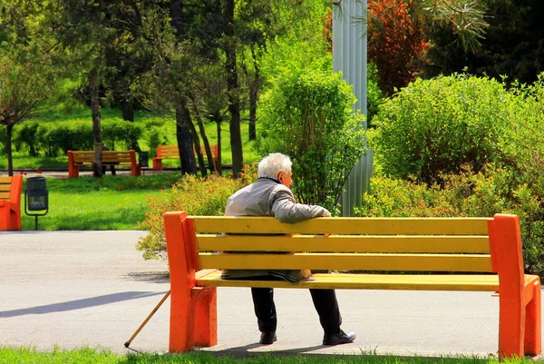 Velho Sentado Num Banco Parque Primaveril Senior Cidadão Aposentado Descansando — Fotografia de Stock
