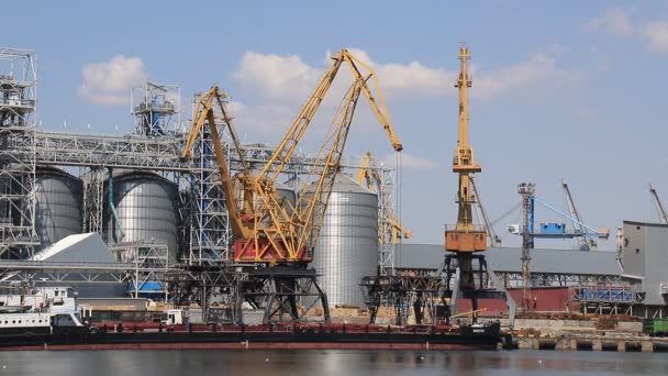 Les Grues Portuaires Déchargent Chaland Odesa Seaport Milieu Grands Réservoirs — Video