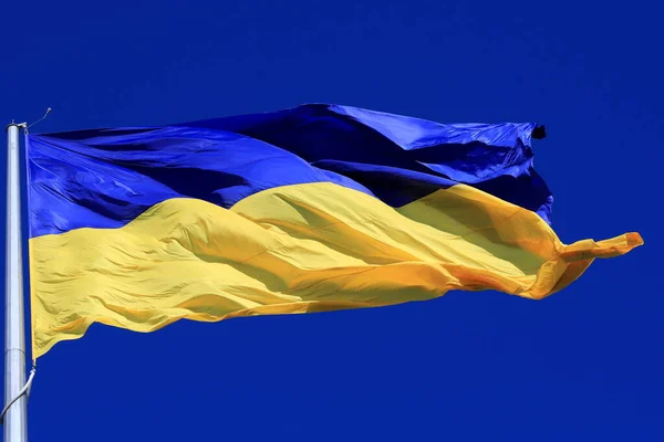 Красивый Флаг Украины Голубом Небе Крупный Украинский Флаг Развевается Концепция — стоковое фото