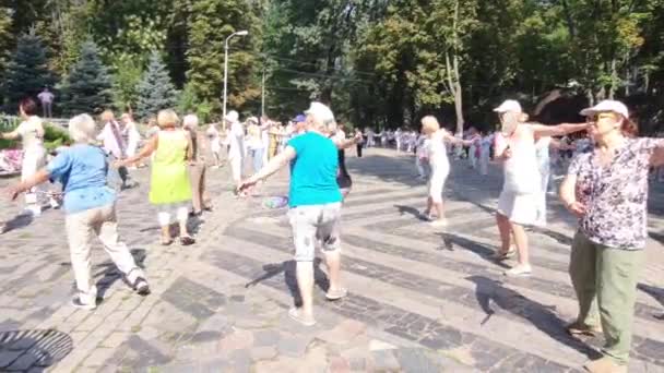 高齢女性は屋外でスポーツ演習を行う 年金受給者は 中国の遊び場体操 公園でのフィットネスに従事しています ウクライナのドニプロ市2021 — ストック動画