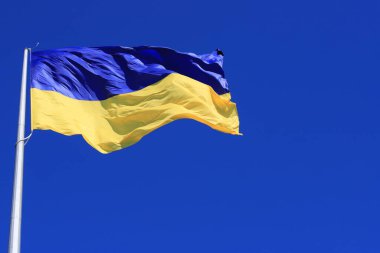 Mavi gökyüzünde dalgalanan Ukrayna bayrağı. Büyük sarı Ukrayna ulusal bayrağı, Kyiv, Ukrayna. Rusya 'nın saldırısına karşı savaşta Ukrayna zaferinin sembolü.