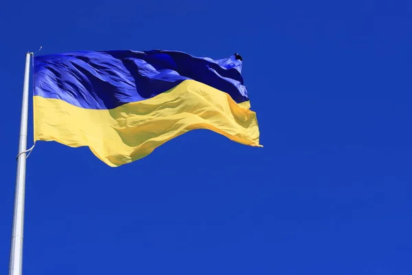 Flag Ukraine Flutters Blue Sky Large Yellow Blue Ukrainian National — стоковое фото