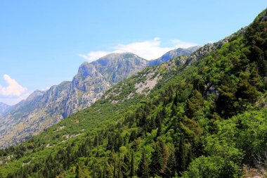 Picturesque high mountains covered with green forest in Montenegro. Place for tourism, sports, recreation, hiking