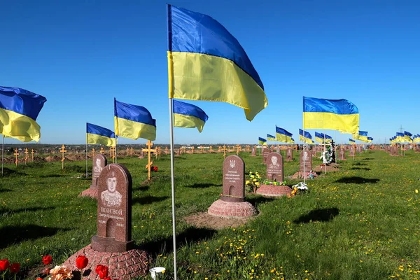 Військове Кладовище Україні Солдати Української Армії Загинули Війні Росії Проти — стокове фото