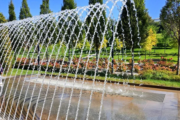 Picturesque dancing fountain in park. Fountain show, creative water design. Uman, Ukraine