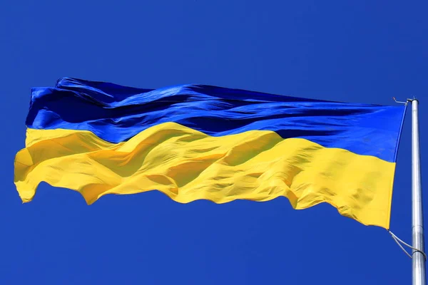 Прапор України Мерехтить Блакитному Небі Великий Жовтий Синій Національний Державний — стокове фото