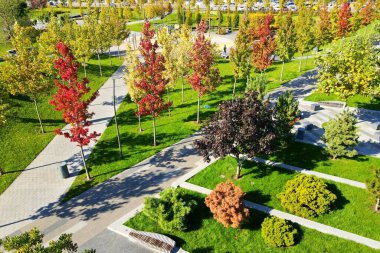 Autumn park with yellow orange trees. Autumn city streets, houses, skyscrapers in the city Dnipro, Dnepropetrovsk, Ukraine, aerial photography