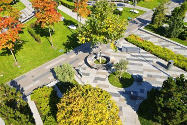 Sarı portakal ağaçları ve yapraklar. Sonbahar sokak parkı, Dnipro, Dnepr Ukrayna 'da manzara tasarımı, hava fotoğrafçılığı..