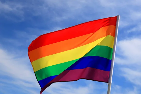 Organización Lgbt Flag Incluye Lesbianas Gays Bisexuales Personas Transgéneras Ondeando — Foto de Stock