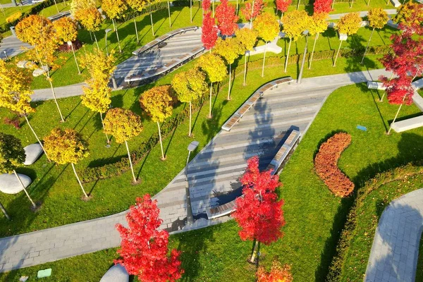 Folha Parque Outono Cair Amarelo Laranjeiras Folhas Ruas Cidade Dnipro — Fotografia de Stock